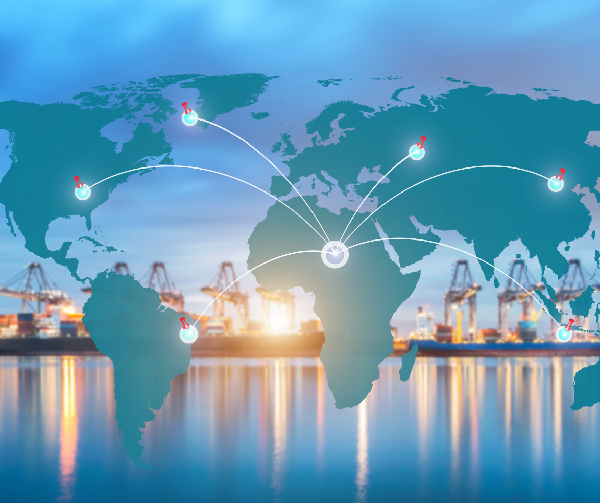 Law and business planning documents for treaty trader case