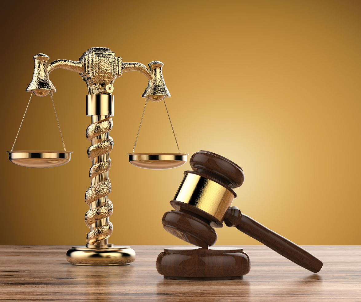 Professional reviewing TN visa documentation