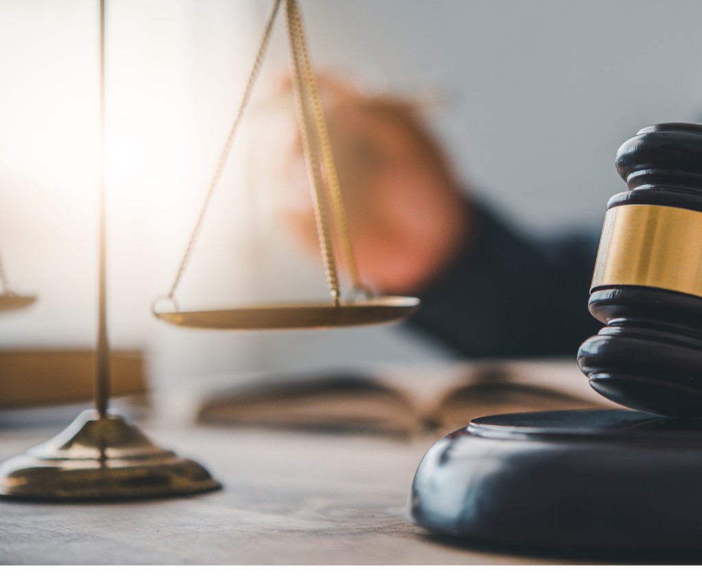 Professional discussing long-term employment immigration options